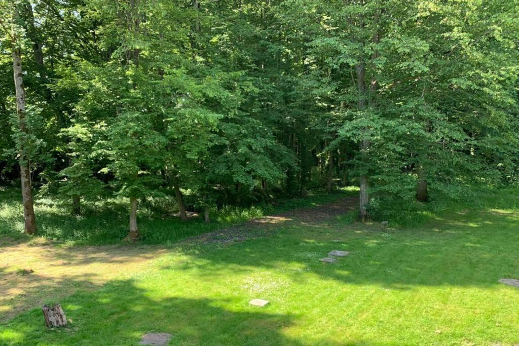 La Clairiere, Villa 30 Pers, Proche Disney/Paris Tournan-en-Brie 외부 사진